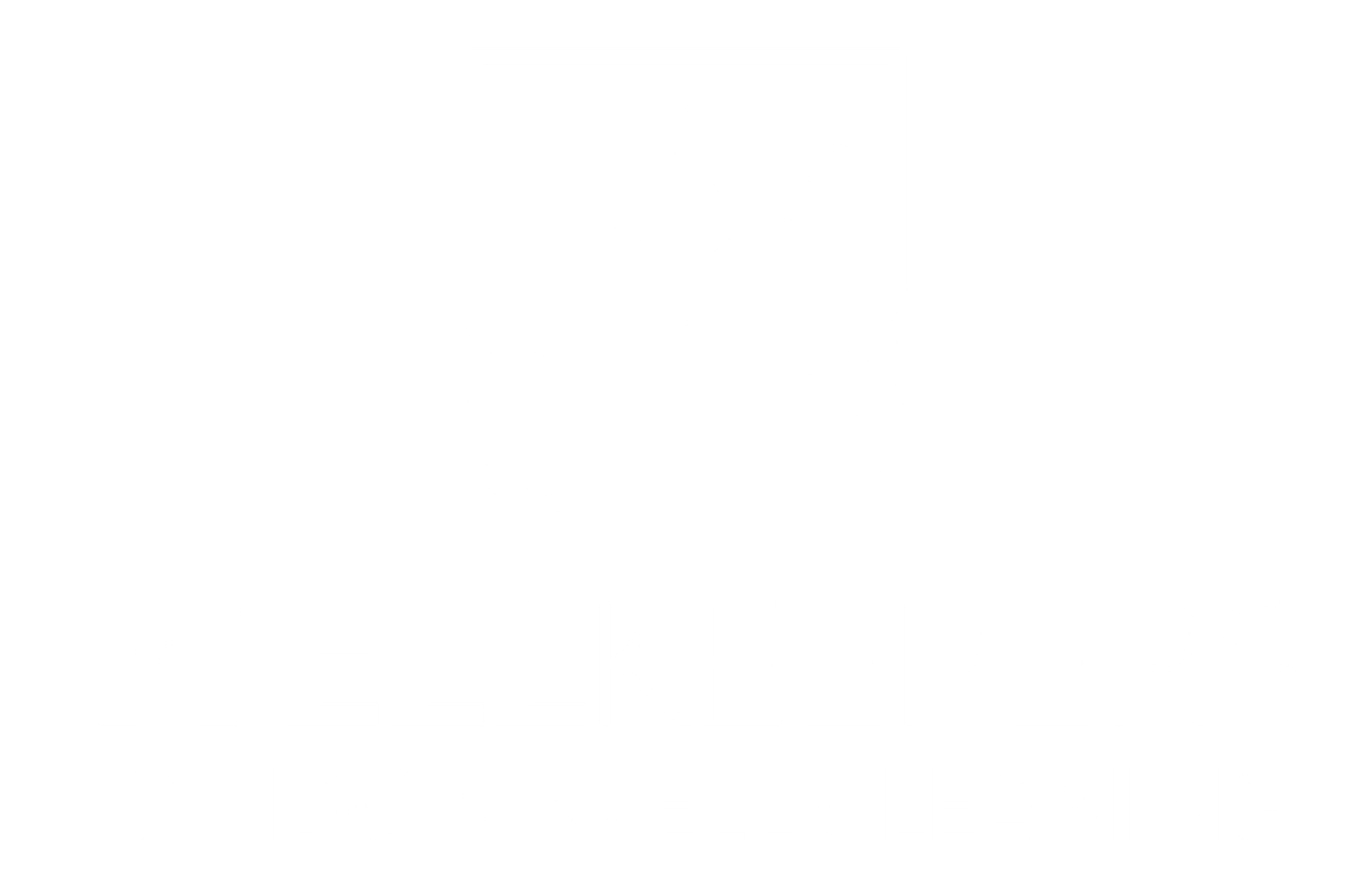 WellKeepers Window Well Cleaning