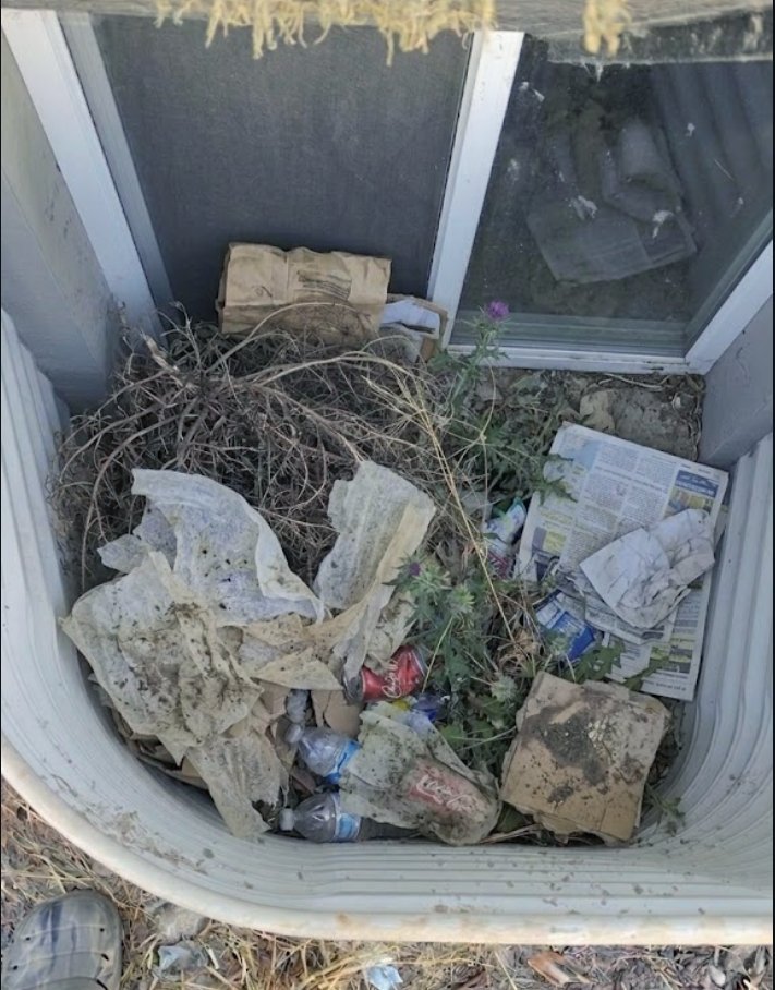 Window well full of trash, weeds, and debris before WellKeepers cleanout